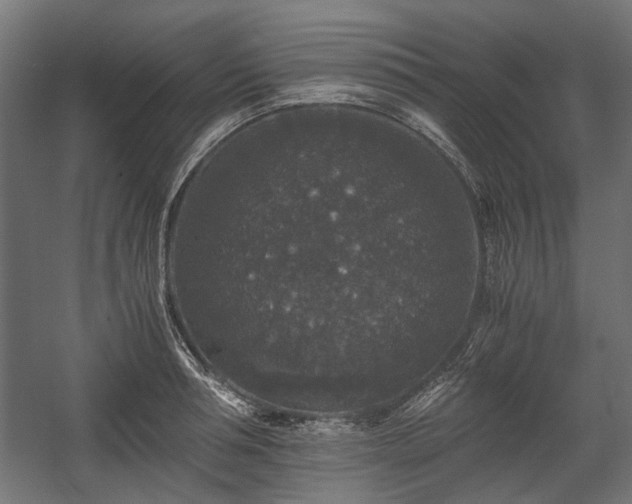X0000058760994200510031014