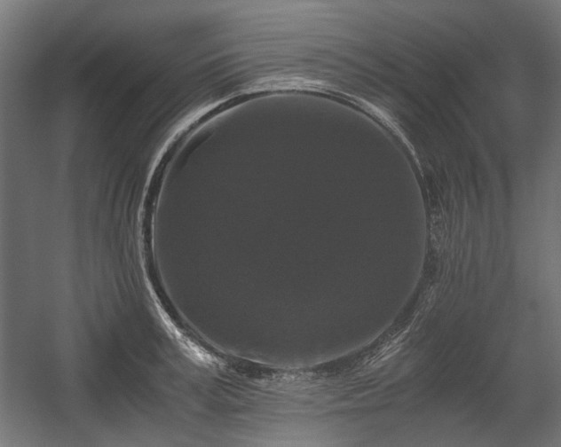 X0000058760995200510031014