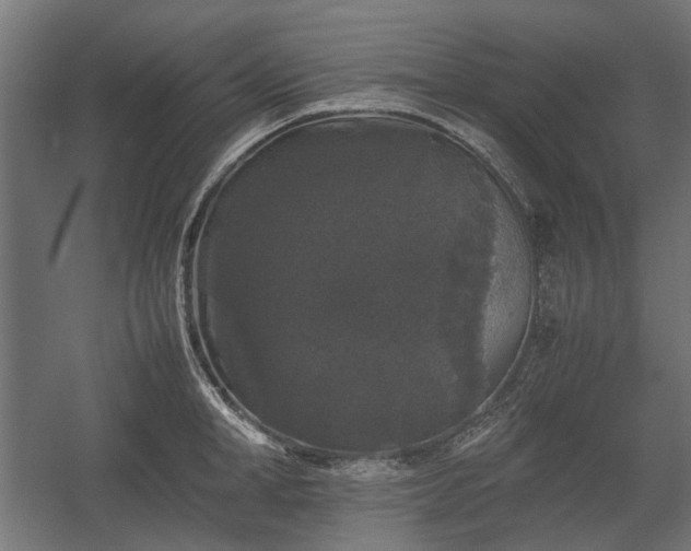 X0000058760998200510031014