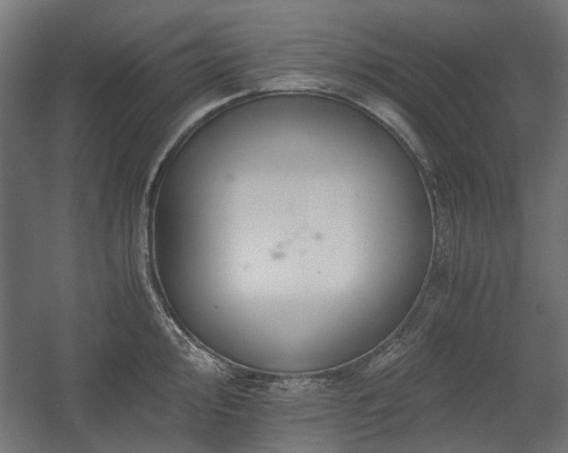 X0000058761000200510031014