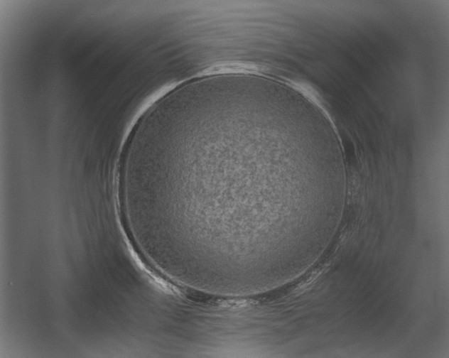X0000058761003200510031014