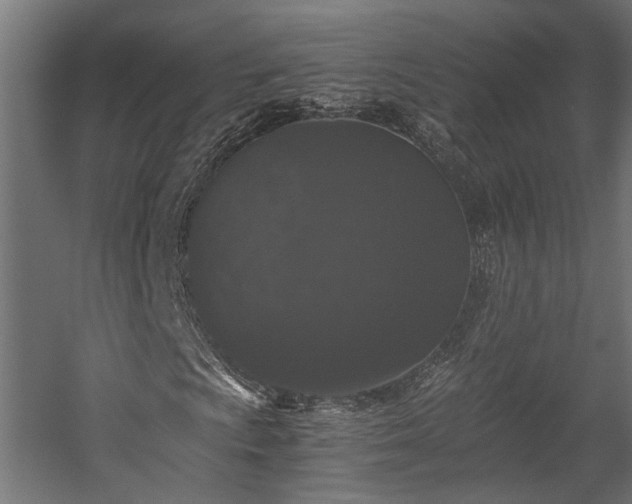 X0000058761009200510031013