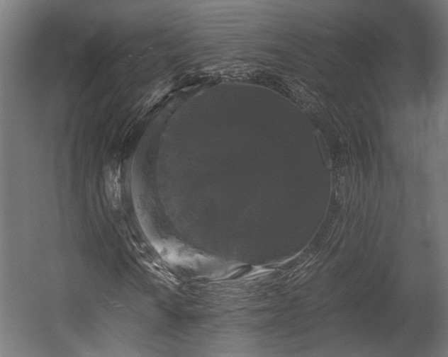 X0000058761010200510031013
