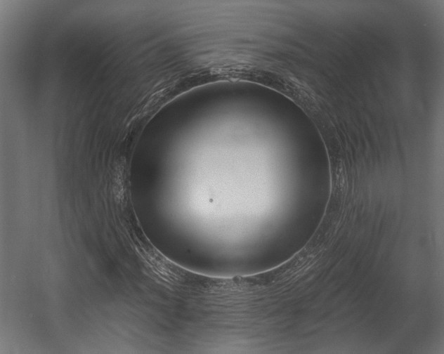 X0000058761012200510031013