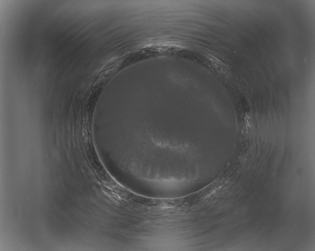 X0000058761014200510031013