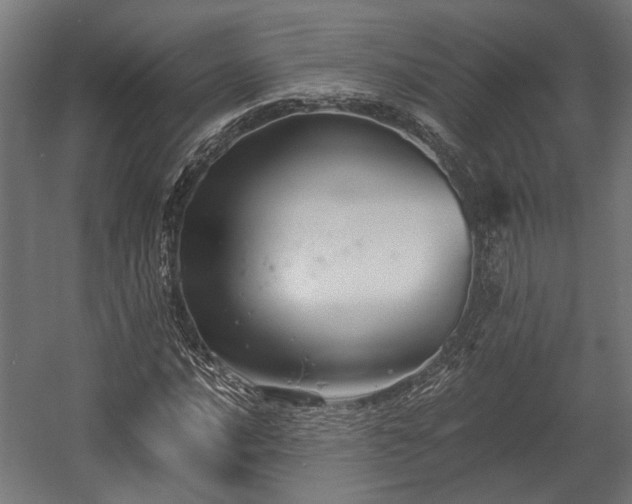 X0000058761016200510031013