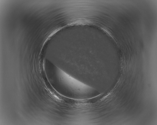 X0000058761018200510031013