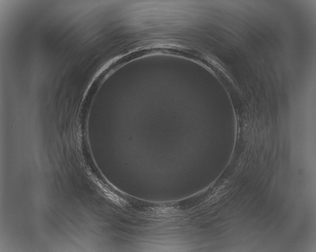 X0000058761024200510031013