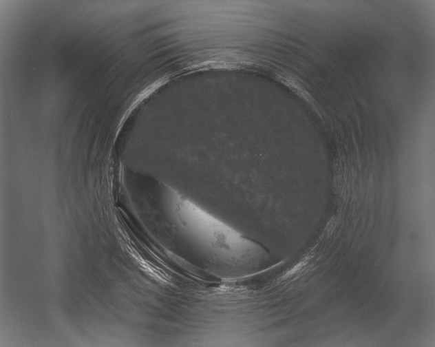 X0000058761026200510031013