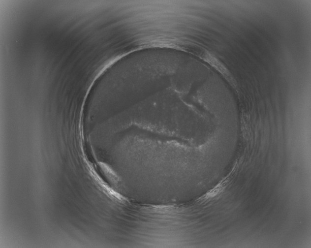 X0000058761028200510031013