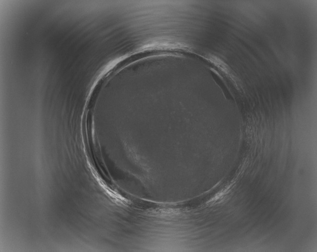 X0000058761030200510031013
