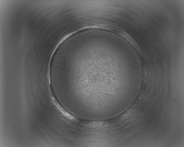 X0000058761036200510031013