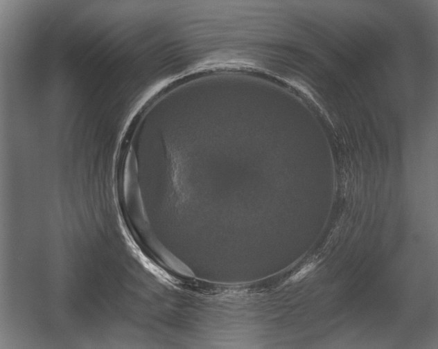 X0000058761038200510031013