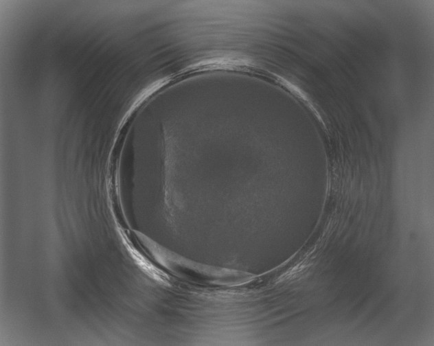 X0000058761042200510031013