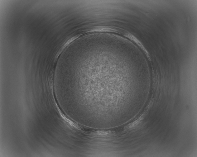 X0000058761049200510031013