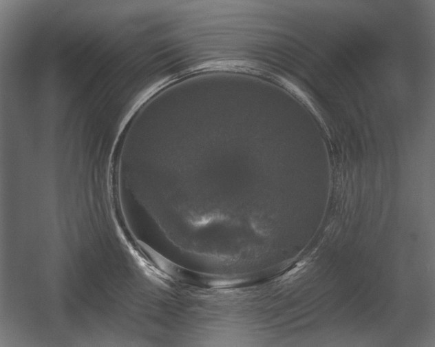 X0000058761050200510031013