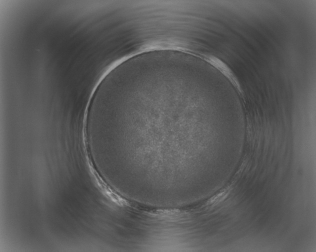X0000058761052200510031014