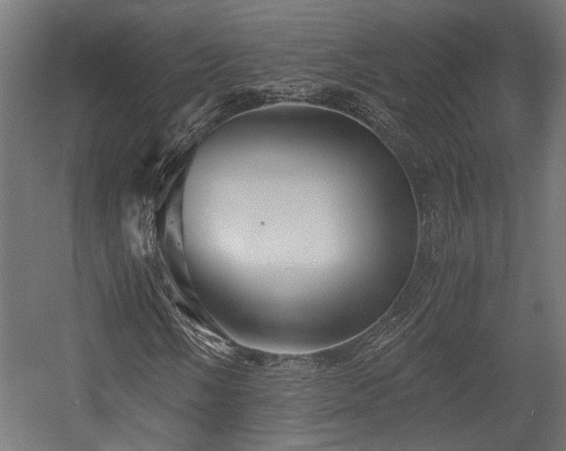 X0000058761058200510031013