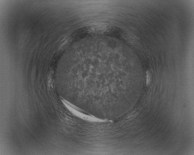 X0000058761059200510031013