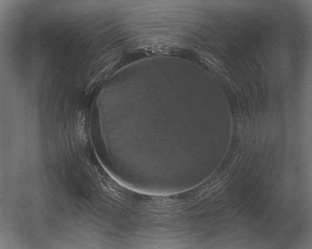 X0000058761060200510031013