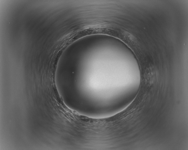 X0000058761062200510031013