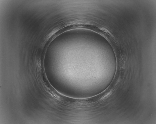 X0000058761065200510031013