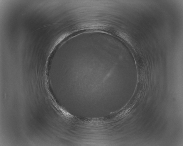 X0000058761071200510031013