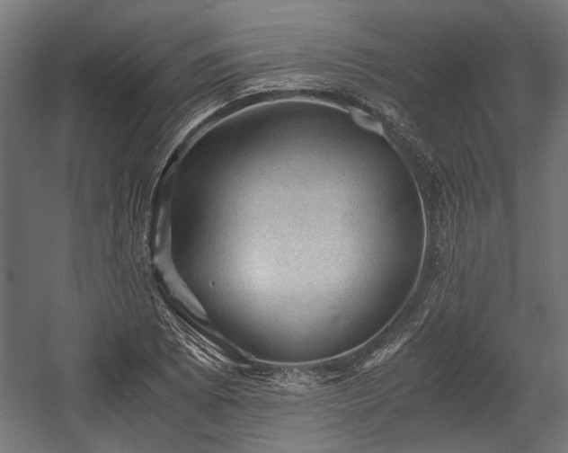 X0000058761073200510031012