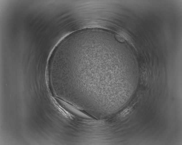 X0000058761076200510031012