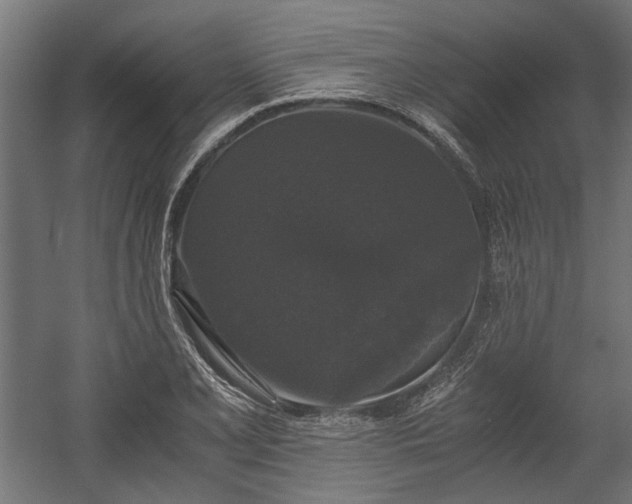 X0000058761077200510031012
