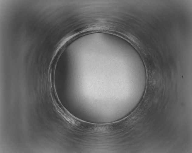 X0000058761078200510031012