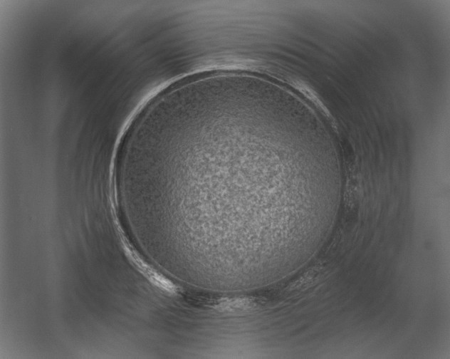 X0000058761080200510031012