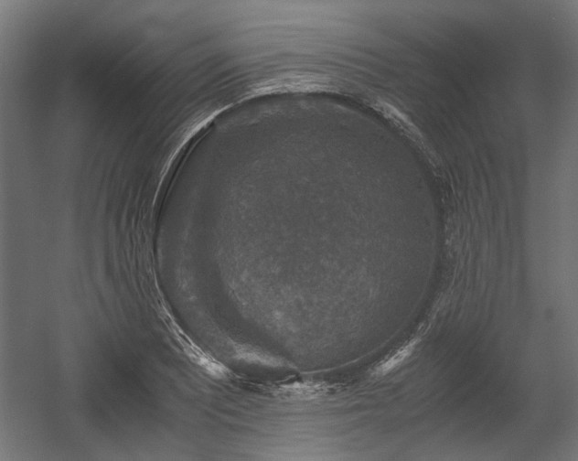 X0000058761081200510031012