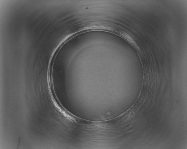 X0000058761084200510031012