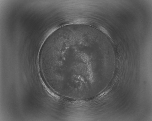 X0000058761087200510031012