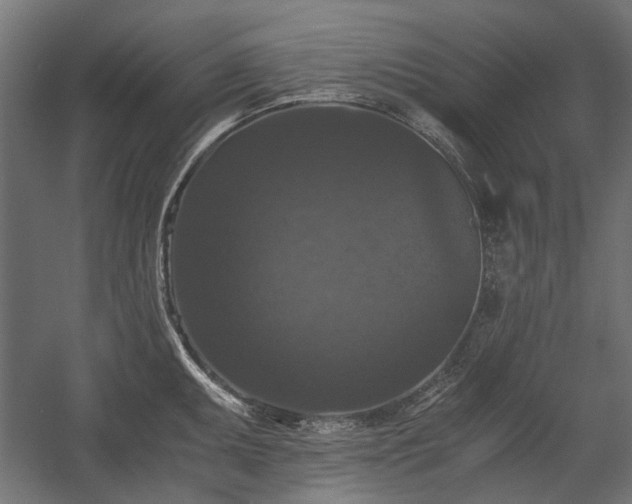 X0000058761095200510031012