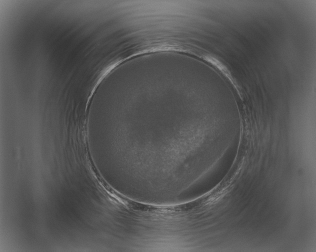 X0000058761097200510031012
