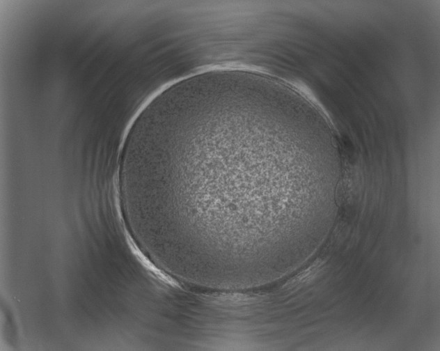 X0000058761100200510031012