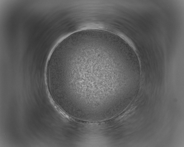 X0000058761104200510031012