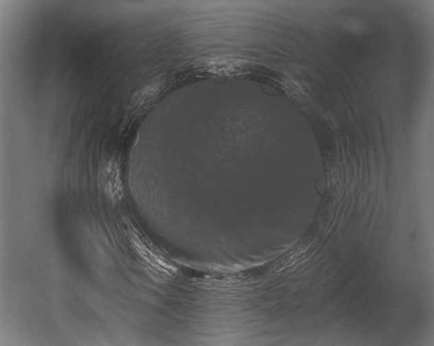 X0000058761106200510031011