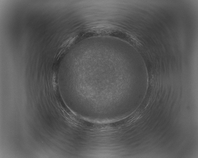 X0000058761108200510031011
