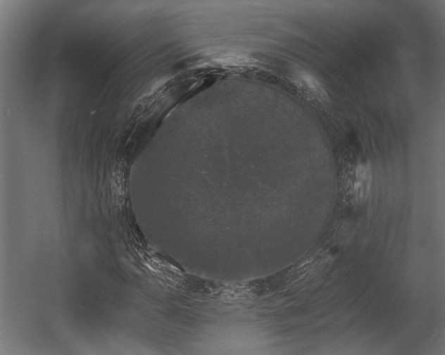 X0000058761110200510031011