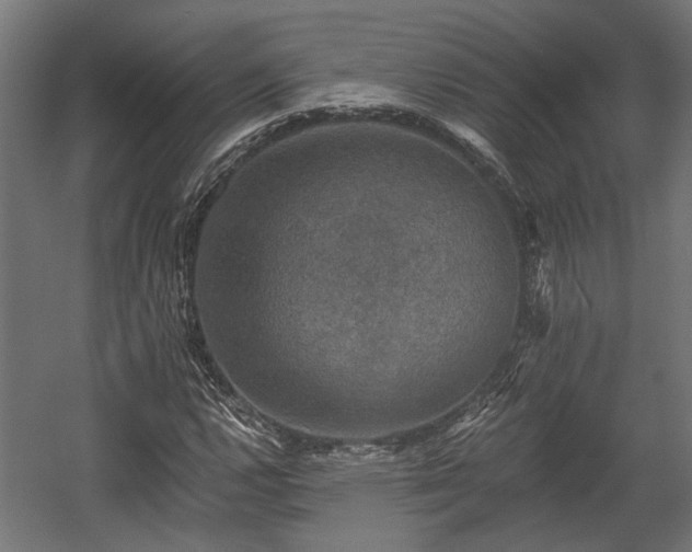 X0000058761112200510031011