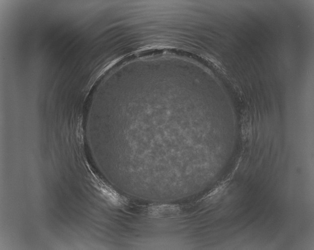 X0000058761113200510031011