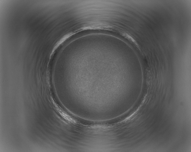 X0000058761114200510031011