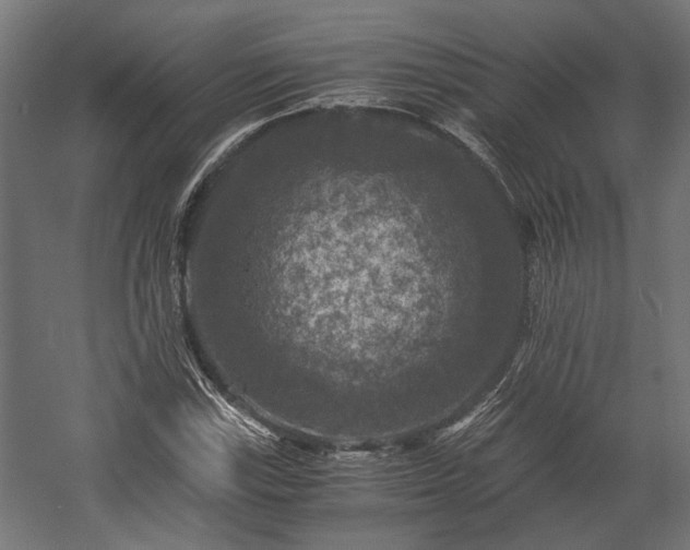 X0000058761115200510031011