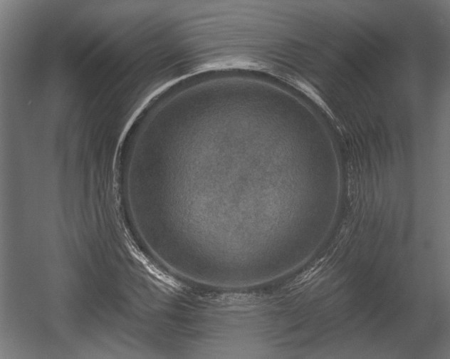 X0000058761116200510031011