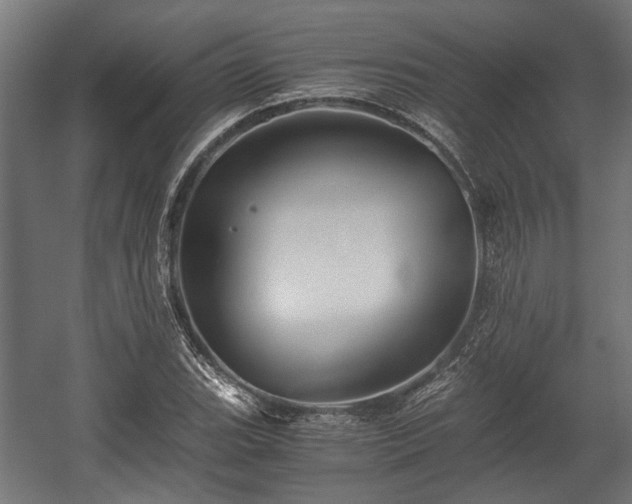 X0000058761119200510031011