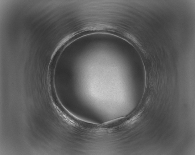 X0000058761122200510031011
