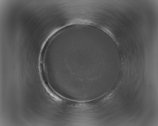 X0000058761128200510031011
